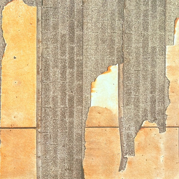 Scrapbook Paper! Wood Texture & Country Theme Backgrounds! 12x12” - Picture 7 of 17